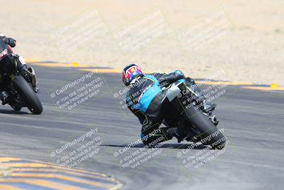 media/Mar-10-2024-SoCal Trackdays (Sun) [[6228d7c590]]/9-Turn 8 Backside (1150am)/